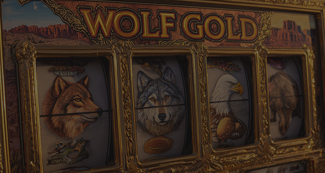 Wolf Gold